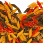 Raw Italian pasta laid