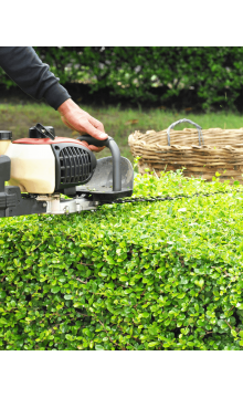Lawnmower equates shrub in the garden