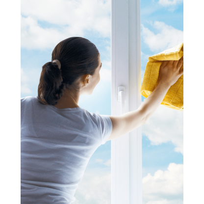 Window cleaning 