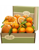 Golden State Fruit California Fruit Gift Box