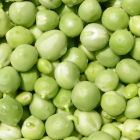 Peas Freeze Dried Dehydrated Survival Food