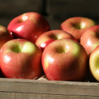 Apples Fresh Produce Fruit