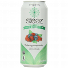 Iced Tea Can Green Blueberry Pomegranate