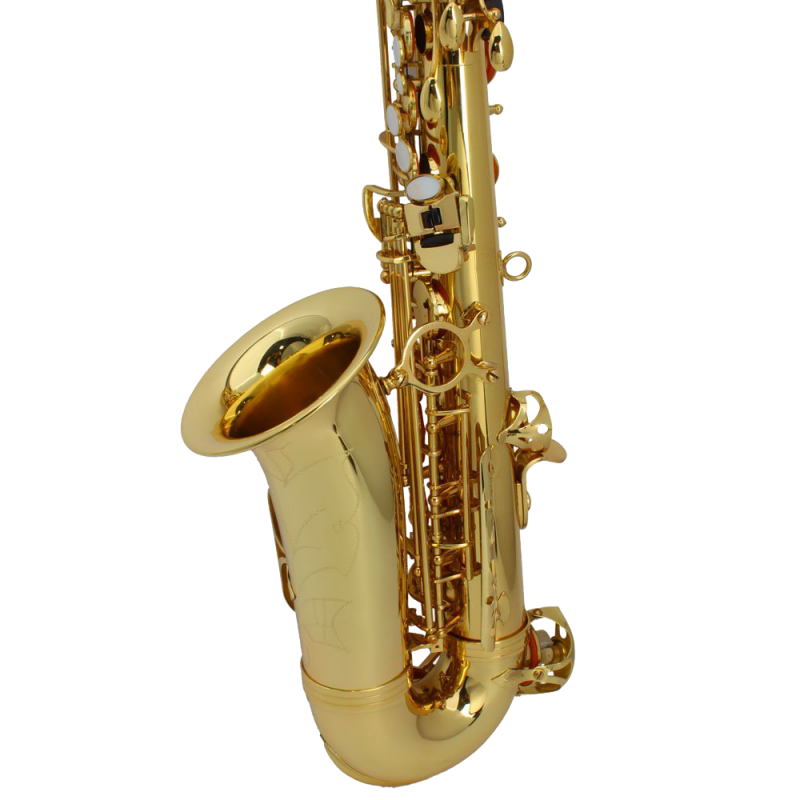 Saxophone sax with Accessories Paint Gold