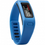 Garmin Vivofit Fitness Band