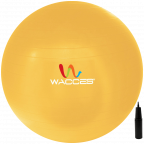 Wacces® Fitness Exercise and Stability Ball