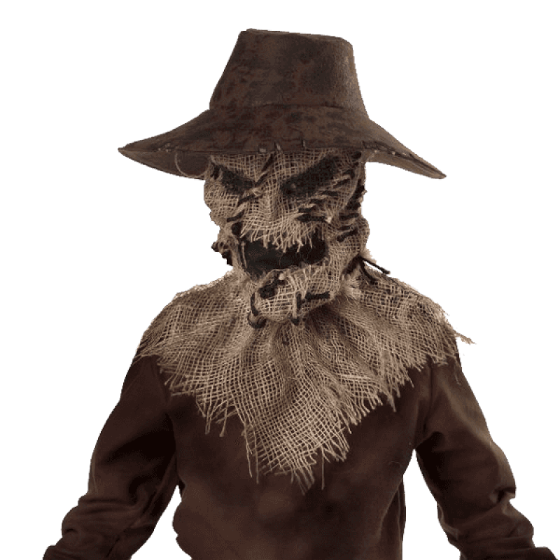 California costumes toys wicked scarecrow 