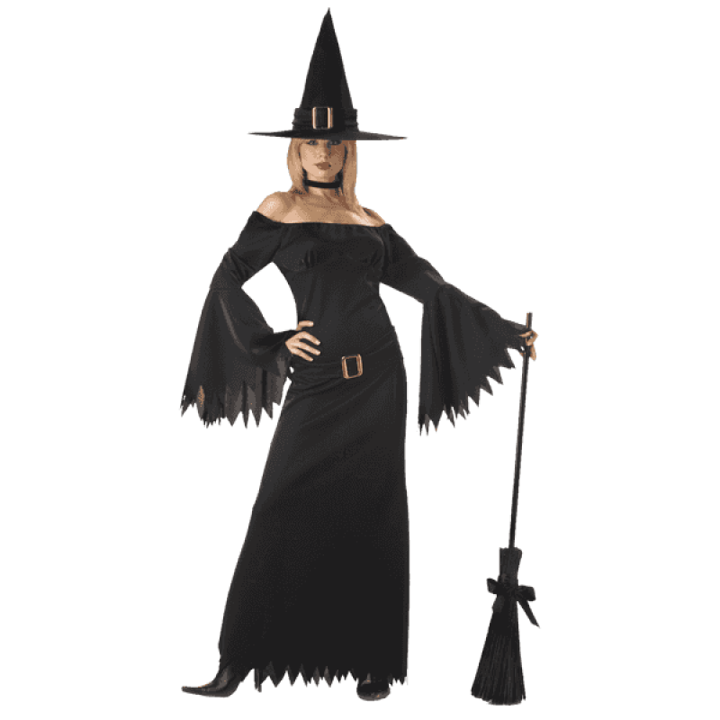California costumes womens elegant witch costume 