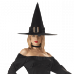 California costumes womens elegant witch costume 