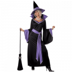 California costumes womens incantasia the glamour witch 
