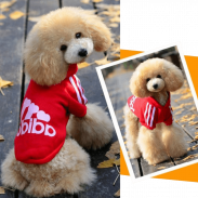 Zehui Pet Dog Cat Sweater Puppy T-Shirt