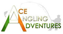 Ace Angling Adventures