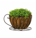 Coffee Cup Planter