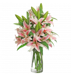 Pink Stargazer  Lily Bouquet