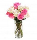 Pink&White Long Stemmed Roses
