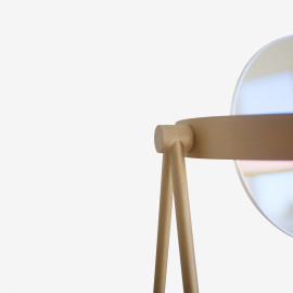 Foot mirror