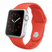 Apple 38 MMWatch Stainless Steel Case 